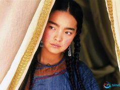 Kazakların En Yüksek Bütçeli Kurmacası Nomad (The Warior)
