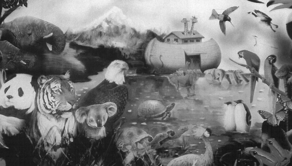 © nuh tufanı ferzan ali aygen