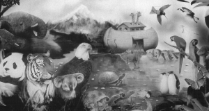 Sinemasalı Görüngesi / Uygulayım İlkesi © nuh tufanı ferzan ali aygen