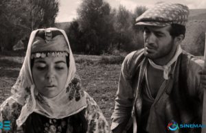 Ot Kökünün Üstünde Biter yılanların öcü