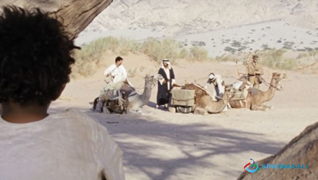 ذيب‎ 2015