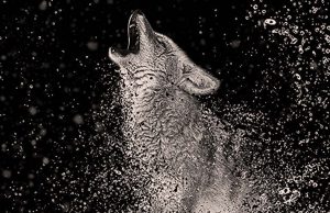 Ne Olacak Şimdiki İnsanın Dünyayı Umursamazlığı?