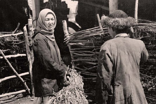 Toprak Ana