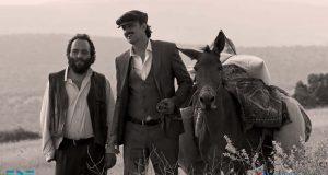 Kuşlara Bak Kuşlara