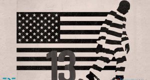 Irkçı Sömürü Düzeni