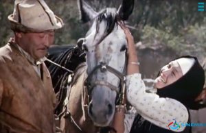 Elveda Gülsarı! Sen Büyük Bir Attın… Бег иноходца