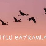 100929078_289656888859486_6183459524596418004_n